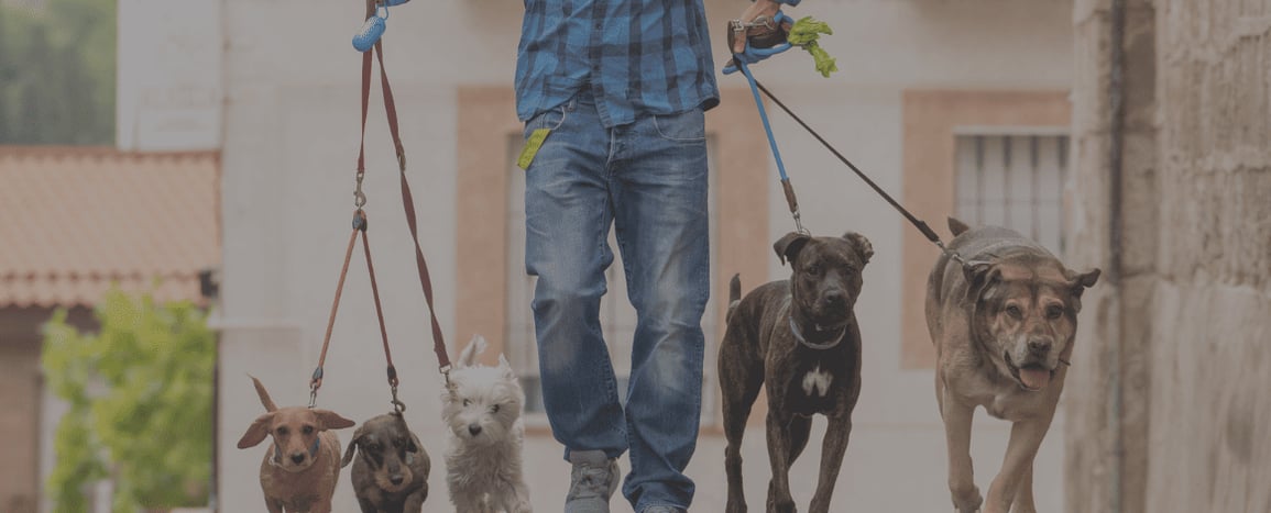 Code APE / NAF 96.09Z : autres services personnels n.c.a.